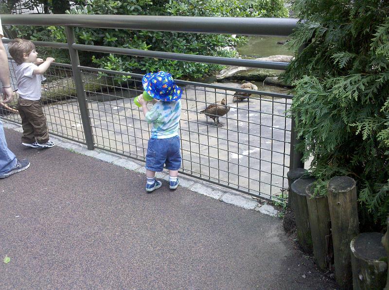 2010-05-29 12.38.28.jpg